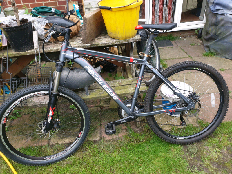 pedalease mountain bike